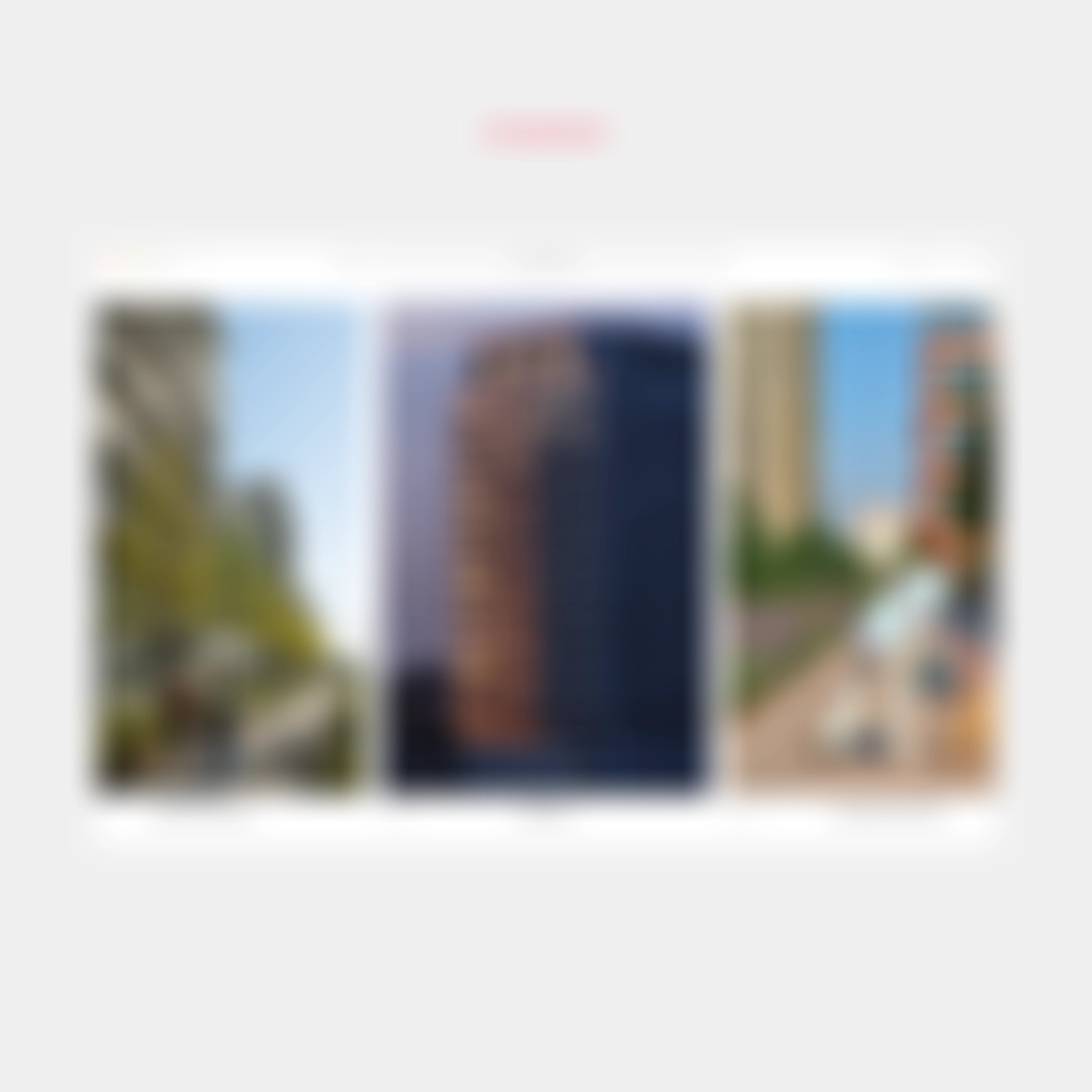 Визуальная платформа — Брусника.Фото