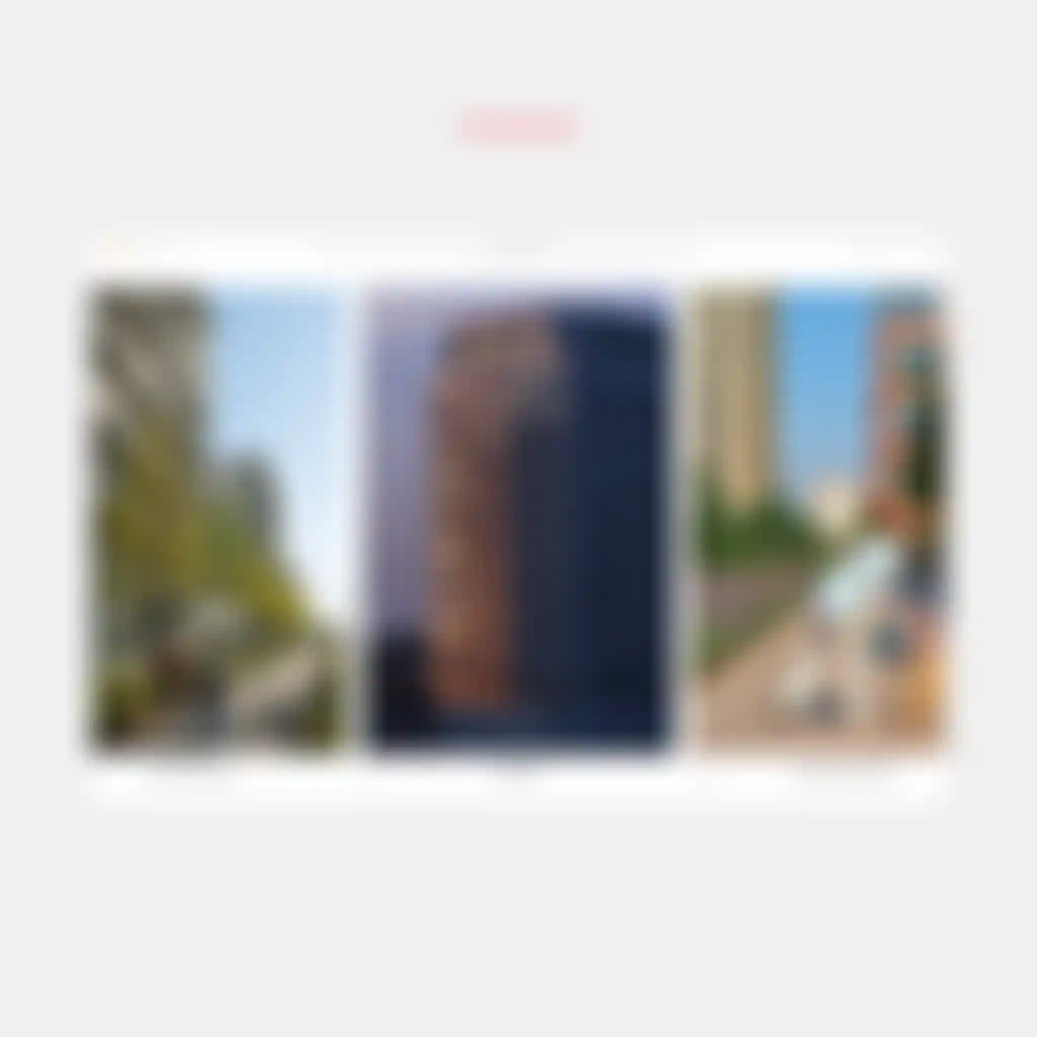 Визуальная платформа — Брусника.Фото