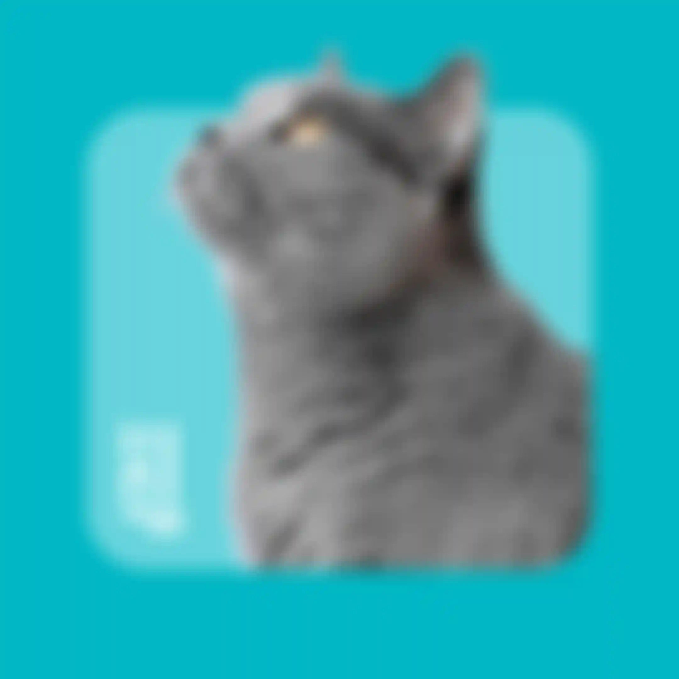 ㅤ