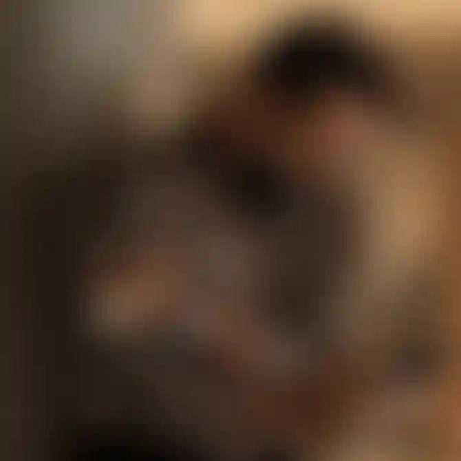 Кабинет клиента