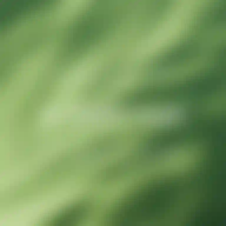 ㅤ