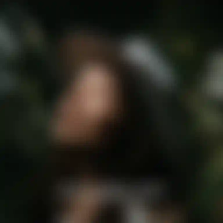 ㅤ