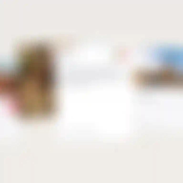 ㅤ