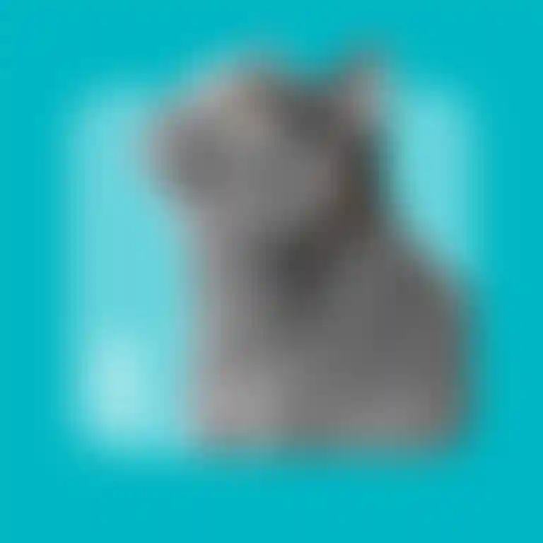 ㅤ