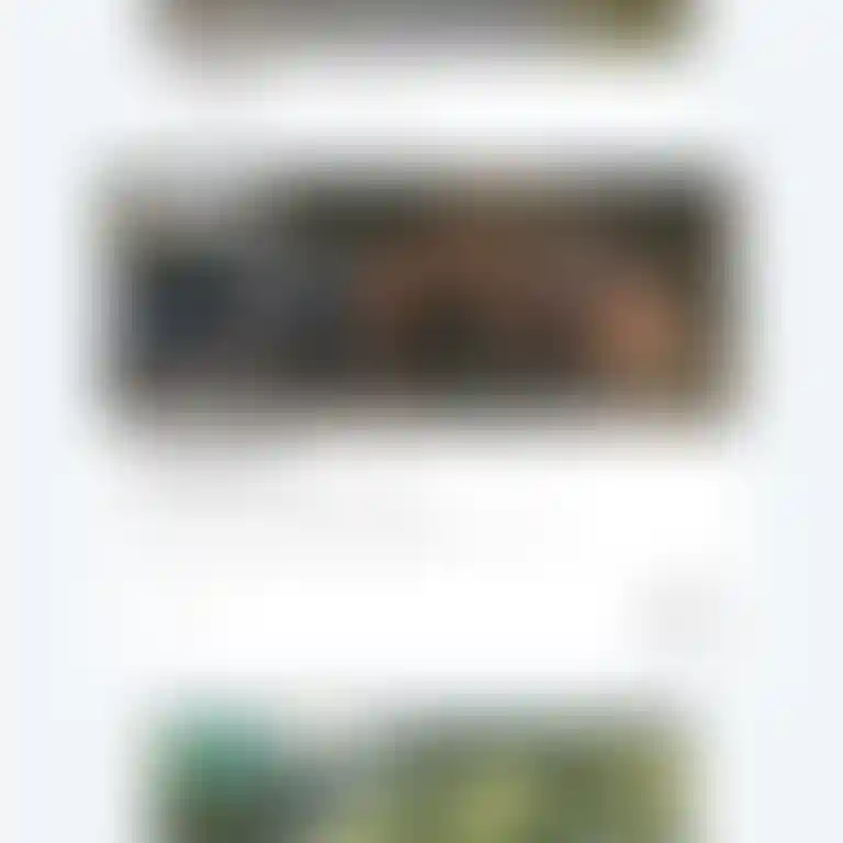 ㅤ