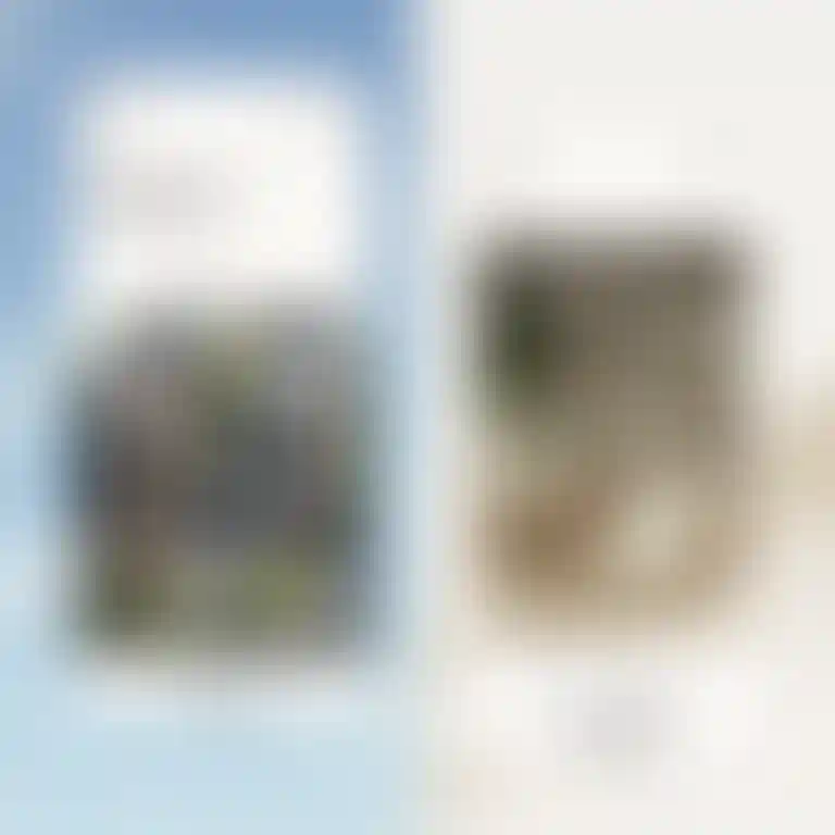 ㅤ
