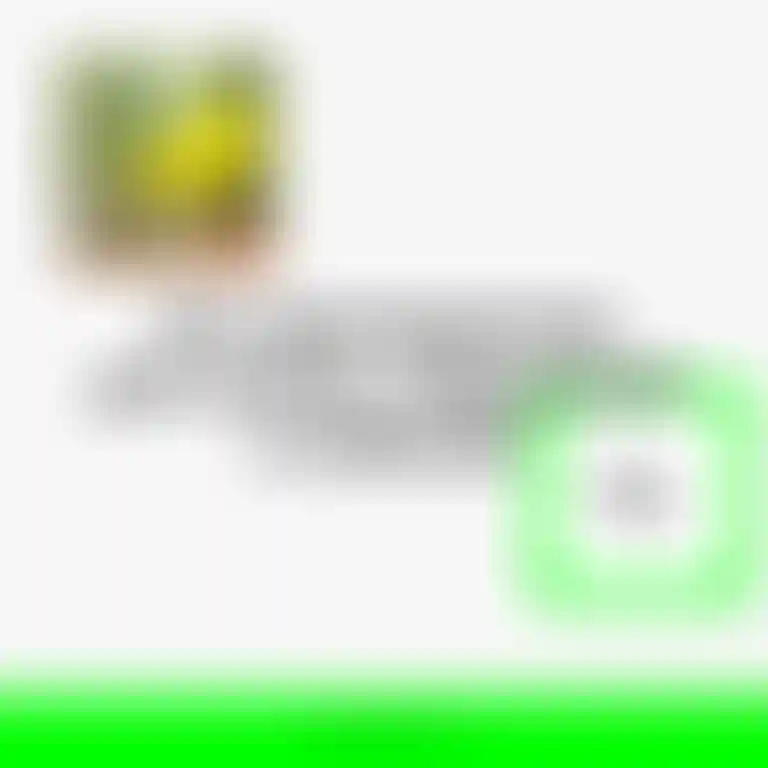 ㅤ
